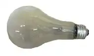 Standard bulb