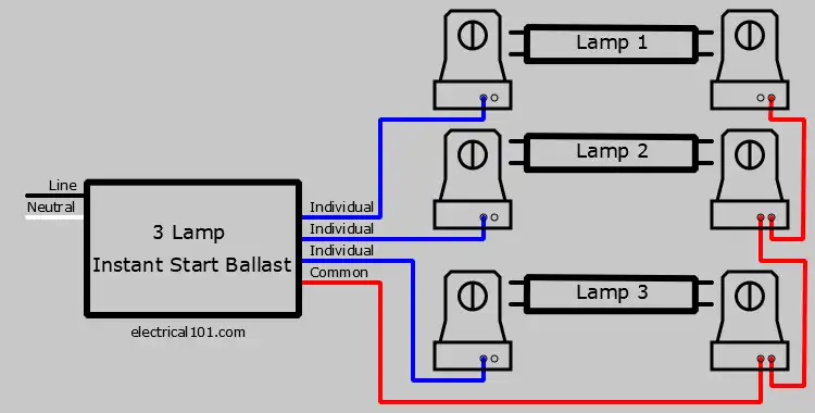 3 Lamp Parallel Ballast Lampholder Wiring Diagram